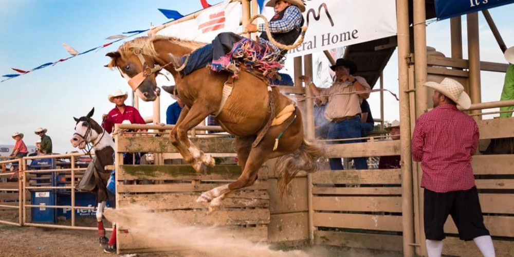 RIDE UM COWBOY